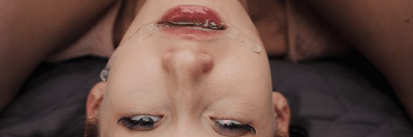 一个新的室友